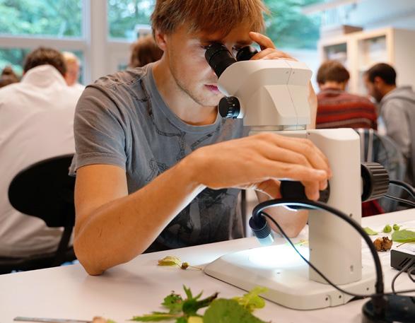 TRÄDGÅRDSINGENJÖR DESIGN Studieort: Alnarp Examen: Trädgårdsingenjörs- och kandidatexamen Studieår: 3 Anmälan: Senast 15 april Start: Hösten 2019 Urval: Betyg, högskoleprov och antagningsprov Ämnen: