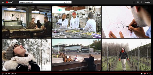 Våra studenter på film Kolla in filmerna med studenter och alumner på några av SLU:s program.