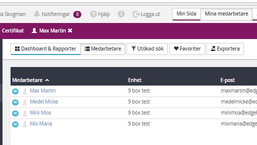 Den procentuella fördelningen visar hur många av dina underställda chefer som placerat sig i respektive ruta.