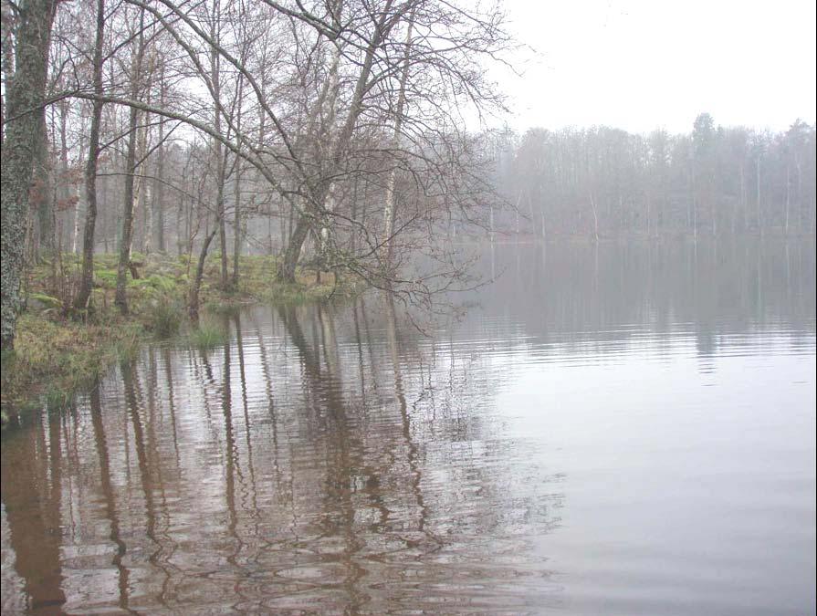 2008:9 Bottenfauna i tre sjöars profundal och litoral Undersökning av Horsasjön,