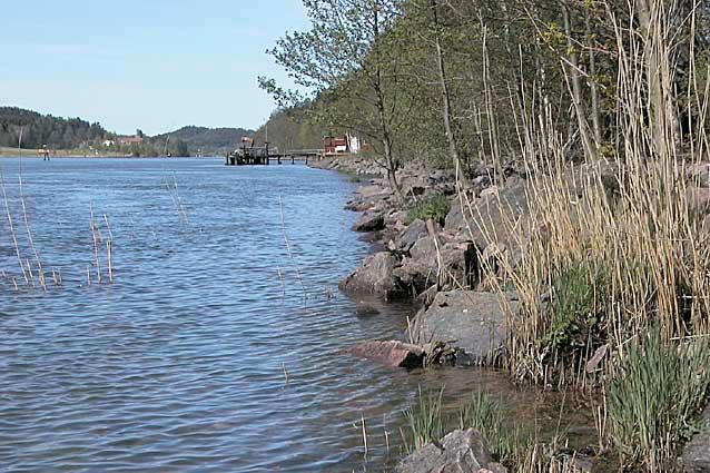 3. Göta älv, Garn Båt brygga Lada Mätstation N F Resultat och index Parameter Uppmätt Jämför- Det uppmätta Avvikelsen från värde värde värdet är: jämförvärdet är: Shannon-index 3,72 2,95 Måttligt