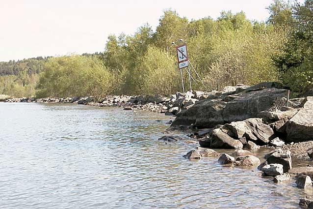 7. Göta älv, Lärjeholm F Skylt N Stängsel Väg Vattenintag Järnväg Resultat och index Parameter Uppmätt Jämför- Det uppmätta Avvikelsen från värde värde värdet är: jämförvärdet är: Shannon-index 3,70