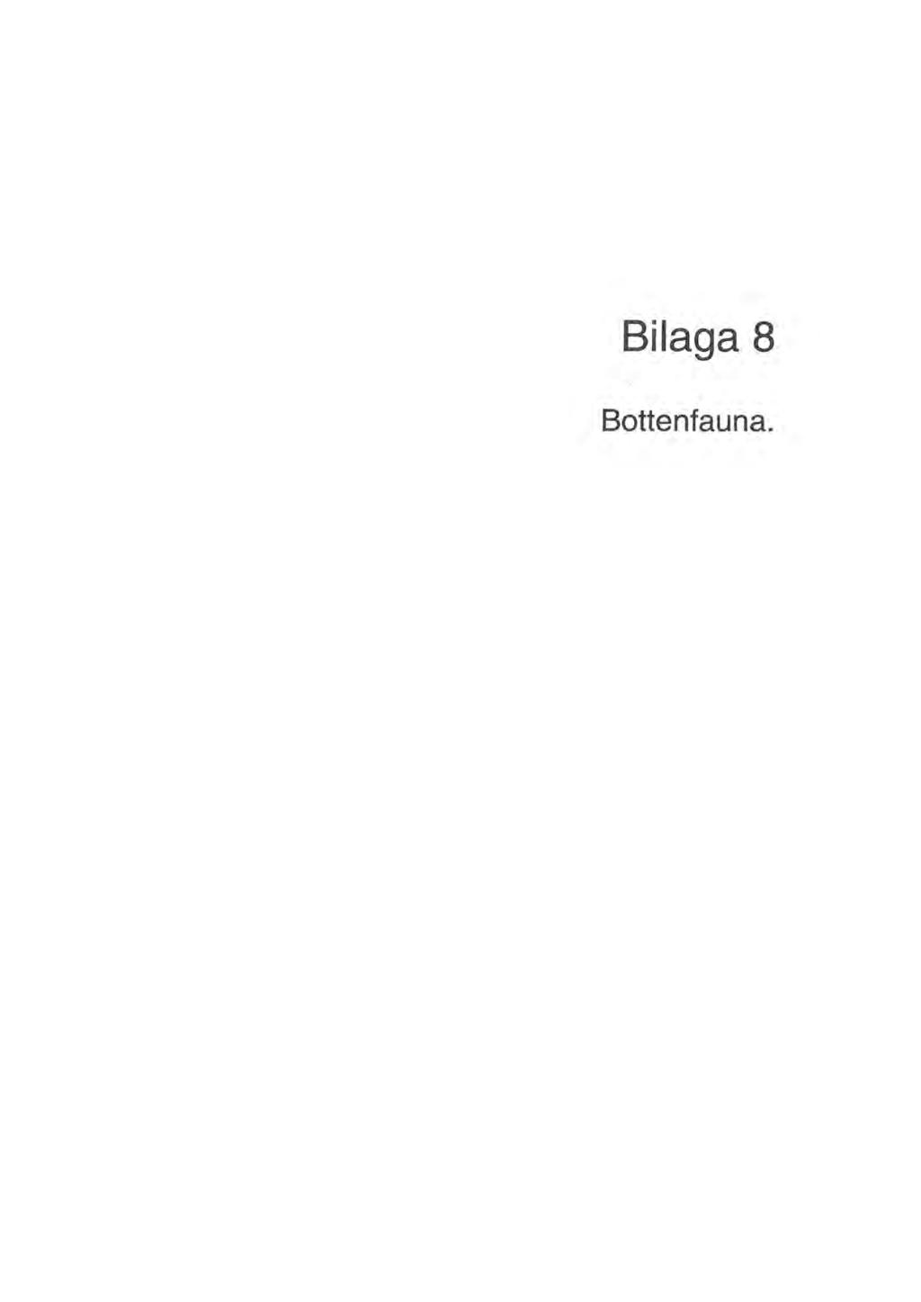 Bilaga 8