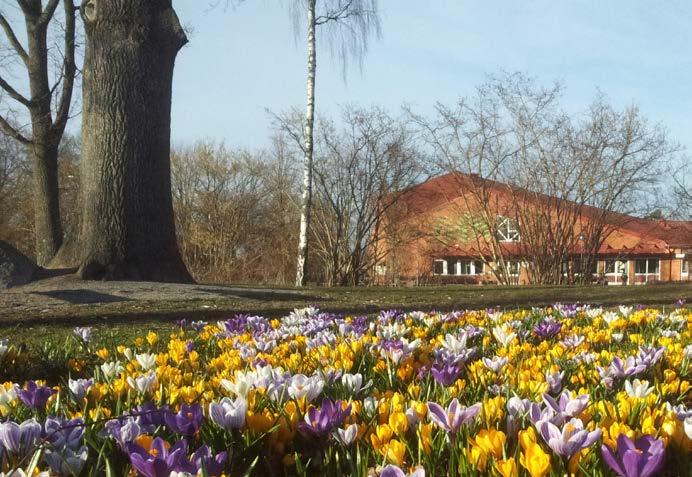 Nytt möte för treornas elevskyddsombud: tisdag den 1 april kl 8:30 9:30 i sal E10-11. Personalmöte (förlängt) onsdag den 2 april kl 15.30-16.00. Vi samlas i matsalen och bjuder på fika från kl 15.00. Prövning Sista dagen för anmälan till prövning 4 april.