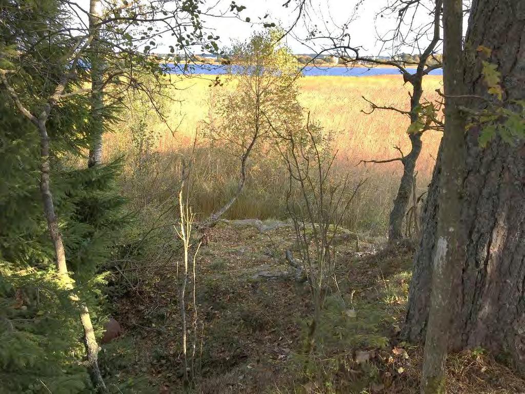DETALJPLAN SKAVEN OCH DEL AV ÖXNERED 13 4.1 Delområde I Delområde I består av skogsmark, bostadshus med tillhörande trädgårdar, lokalgator och strandområdet mot Vassbotten.