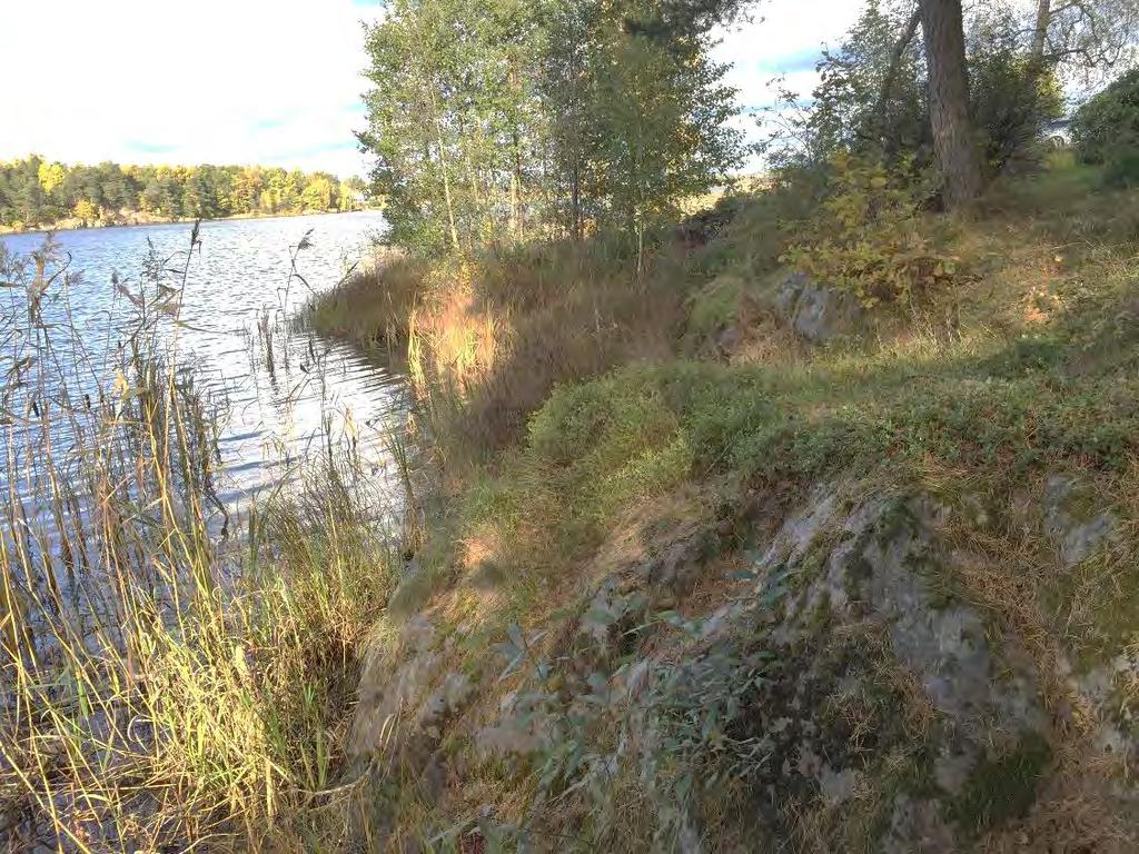 Strax väster om strandområdet finns bostadshus med tillhörande trädgårdar.