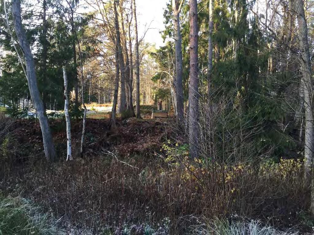 Delområdets centrala del, foto taget mot