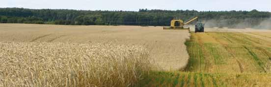 Tabell 2 Höstvete, L9-1050 Strategi mot Septoria tritici, skörd och merskörd samt nettomerintäkt.
