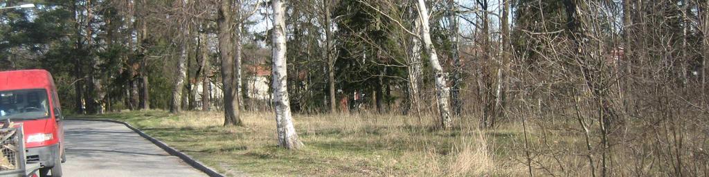 kallade jätteekar men har ekologiskt sett