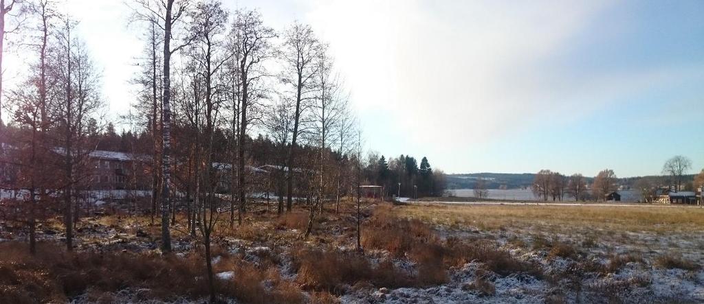Vy västerut. Prästgärdets öppna gräsytor (till höger i bild) och den glesa unga lövskogen (till vänster i bild). Bakom lövskogen skymtar bebyggelsen på Åsen.