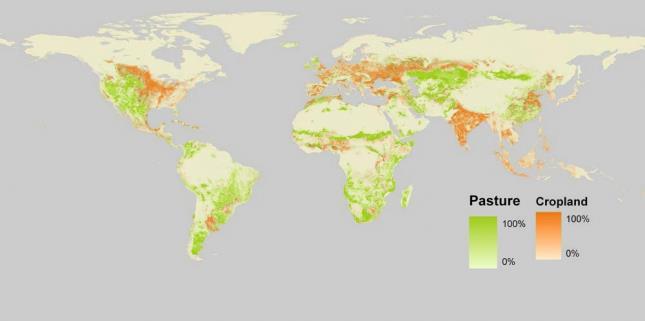 Global agricultural land use today Rött är odlad mark, grönt är gräsmark.