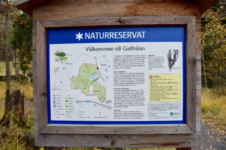 12 (25) Informationstavla vid Gallhålans naturreservat. Foto Emma Andersson. 3.5 INVOLVERA Dialog ska ske med medborgare och föreningsliv vid utveckling av områden.