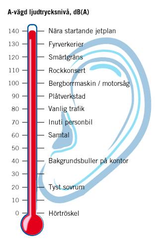 Som du kanske märker så är buller ofta ett ljud som på något sätt skrämmer eller oroar oss. Musik precis innan vi ska sova kan vara ett buller för att det stör oss.