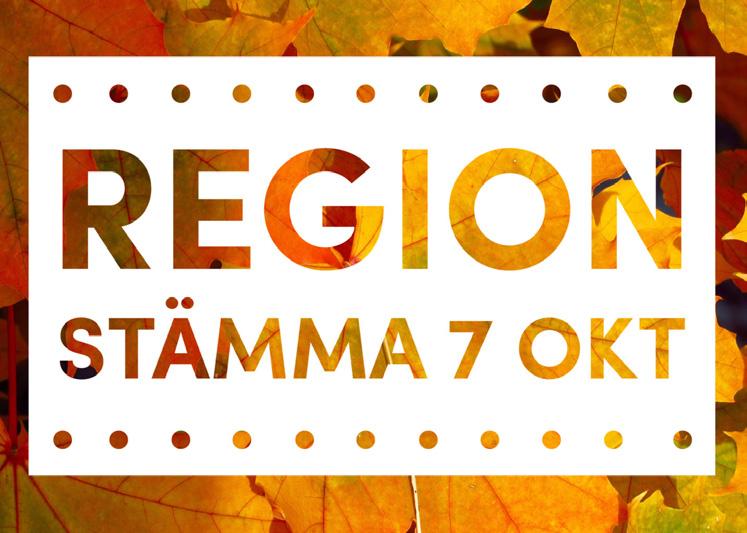 9 Träffpunkt, kl. 14.00 31 augusti: Att tågluffa i Sverige Leif Larsson Vetlanda Missionskyrka LÖRDAG 7 OKTOBER Regionstämma 09.00 Drop in fika, incheckning 10.00 Gudstjänst (45min) 18.