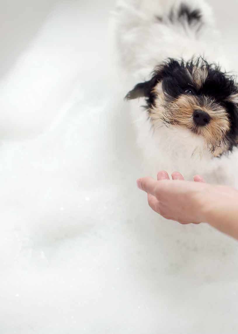 Handdukstorkar Känslan av en genomvarm handduk som välkomnar dig upp ur badet. Den är inte så dum.
