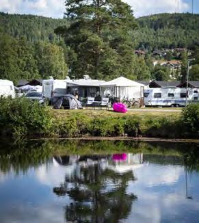 DALARNA I SVERIGE Var bor besökarna?