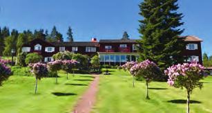 25% 6% 4% 58% Vandrarhem Camping Stugor och lägenheter 3%