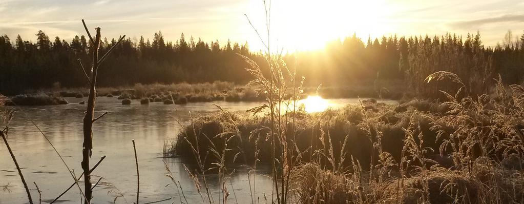 Foto: Lars Stenmark Projektering och kontroll KOMMUNLEDNINGSKONTORET SAMHÄLLSUTVECKLING Kommunledningskontoret samhällsutveckling förvärvar mark som behöver tas i anspråk för dagvattenanläggningar.