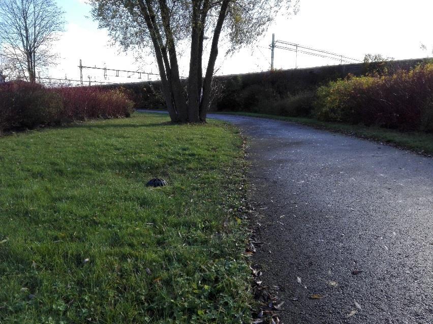 Figur 11. Kupolbrunn som avvattnar gång- och cykelvägen samt utgör bräddpunkt för avvattning av utredningsområdet då den ligger i områdets absoluta lågpunkt.