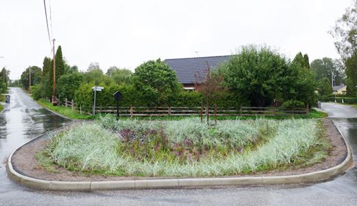mycket bra alternativ till en traditionell plantering som kombinerar dagvattenhantering och god gestaltning.