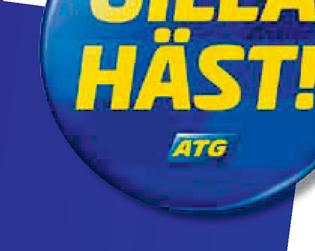 Lundkvist Hans Bernhardsson Lokal galoppdomstol Susanna Staaf Elisabeth Oldengren, ordf Dopningsprovtagning Magnus Gustavsson Bisse Lundgren Neil Grant, Christer Segner Speaker/referent Lars Tiberg,