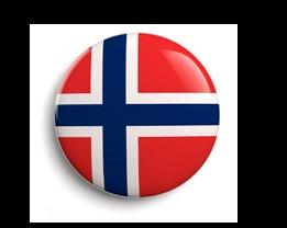 THE NORWEGIAN MARKET About RIF RIF is the industry organization for approved consulting companies in Norway.