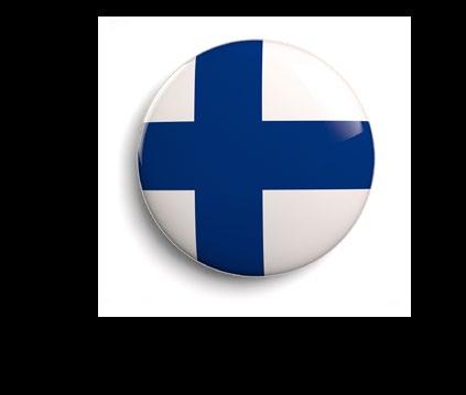 THE FINNISH MARKET MARKET GROWTH STABILIZES IN FINLAND Both domestic and export business turnover continued to increase in Finnish consulting business, but profitability stayed in low level.