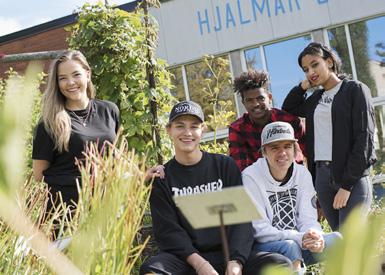 Vid sidan av gymnasieprogrammen finns också ett antal vuxenutbildningar och certifierade utbildningar inom vård och omsorg.