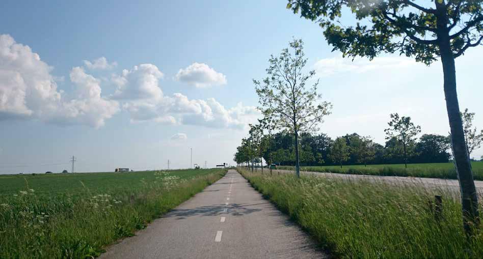Cykelvägen mellan Malmö och Lund går bitvis genom det skånska åkerlandskapet.