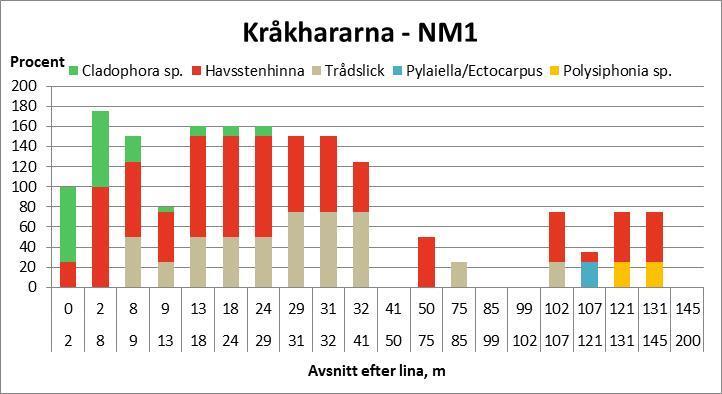 Figur 13. Schematisk skiss över bottenprofilens längd, topografi och bottensubstrat vid Kråkhararna NM1.