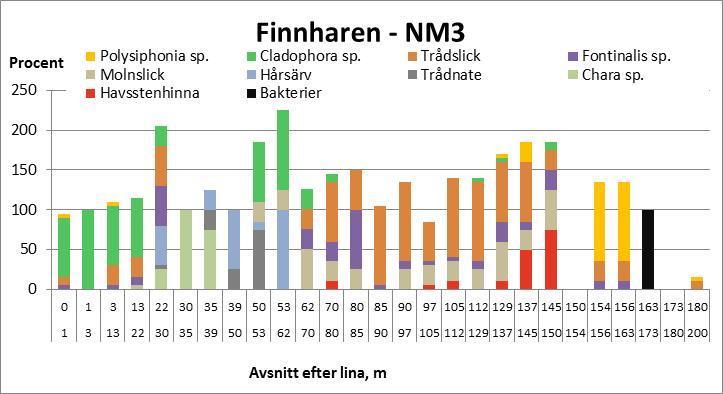 På ett avsnitt, vid 163 173 meter efter linan på cirka 6,2 till 6,6, meters djup, noterades lösliggande alger som täckte botten till hundra procent.