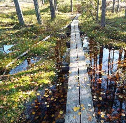 mer ordnade vattenflöden, i form av kanaler eller rännor.