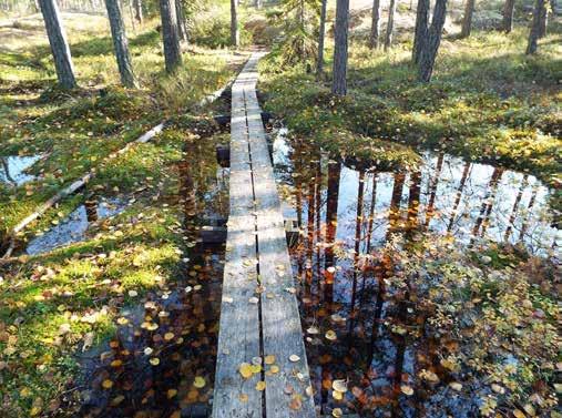 Detta blir också en väg ut till naturlandskapet söder om Telestadshöjden.