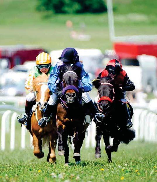 POSTTIDNING A Returadress: Täby Galopp, Box 9, 8 Täby Pris kr Söndag 0 augusti Kl.