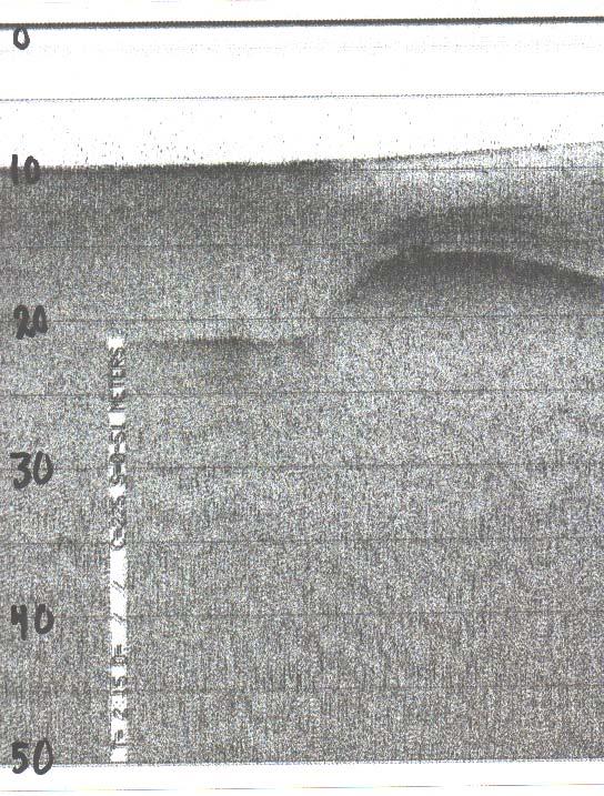 Figur 2 Exempel på ekogram från sedimentekolod i Gårdsfjärden nära slutet på transekt -6. Djupet i meter under ekolodsfisken anges till höger i ekogrammet. Fisken bogserades på ca 3 meters djup.