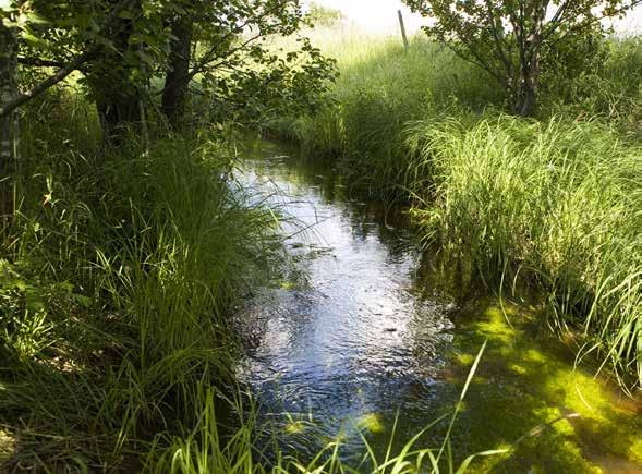 Vi bidrar till en bättre miljö för både människor, djur och natur Ny rastplats med många möjligheter I samband med att vi bygger om E4 till motorväg försvinner nuvarande rastplats vid Lagan.