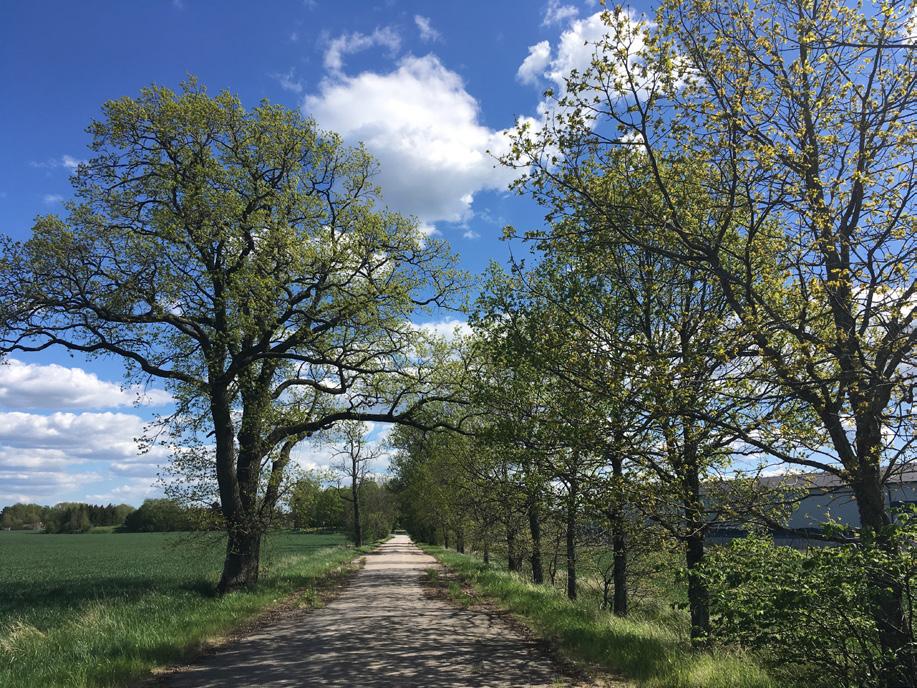 Motorbanan söder om väg 35. Bild 10.