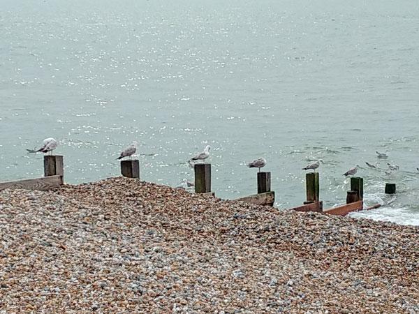 18 Kloka ord Bild: Bognor Regis i England.