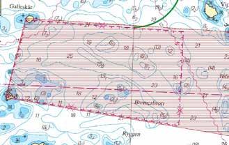 en bär honan på äggen i ett år under huvudskölden. Äggen transporteras sedan ut till simbenen på stjärtdelens undersida och samtidigt befruktas äggen.