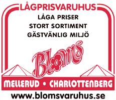Man har idag har hela Sverige som arbetsfält och har precis avslutat det största projektet i företagets historia. I dagarna står det klart på Kortedala Torg.