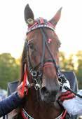 Varmt välkomna till Gävletravet och få en bra start på påsken!