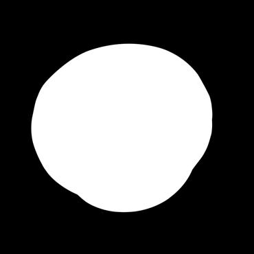 Eldar du med ek, bok eller annat träslag med högt värmevärde ska du alltid blanda ut veden med andra träslag. Annars riskerar du att skada din eldstad. Veden måste vara torr, helst 15 20 % fukthalt.