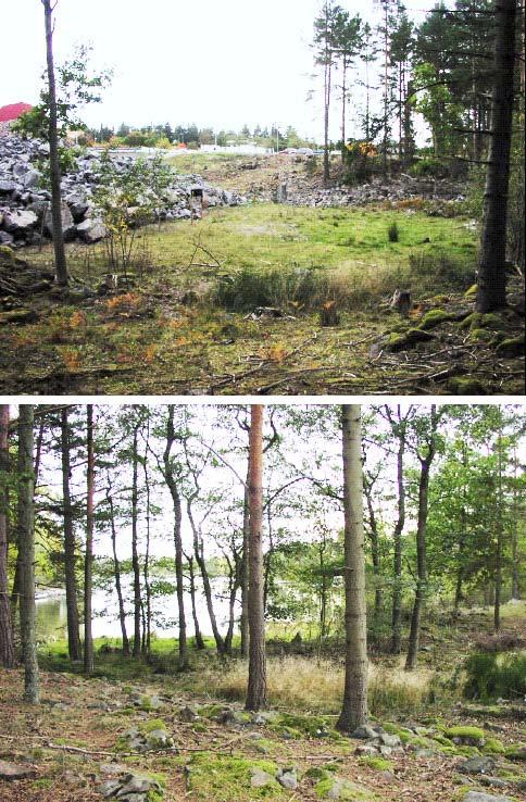 Figur 4 1. Övre bilden: Fotografi av den sänka där dagvattendammen kommer att förläggas. I bilden syns sprängsten i kanten mot Clab.