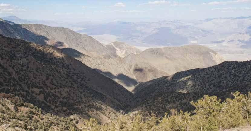 SVENSK KVALITET OCH DESIGN MONITOR - SAFE & SMART! År 2000 befann sig ett par goda vänner i bergsmassivet Monitor Range i Nevada USA på en av sina många vandringsresor.