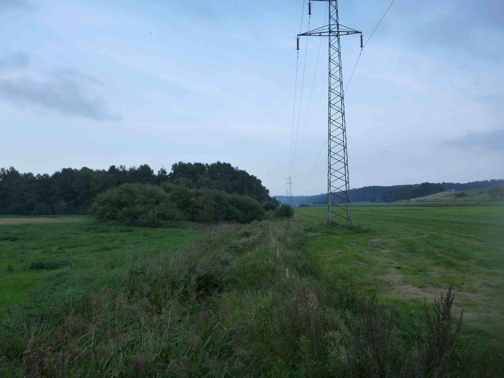 Si96M.
