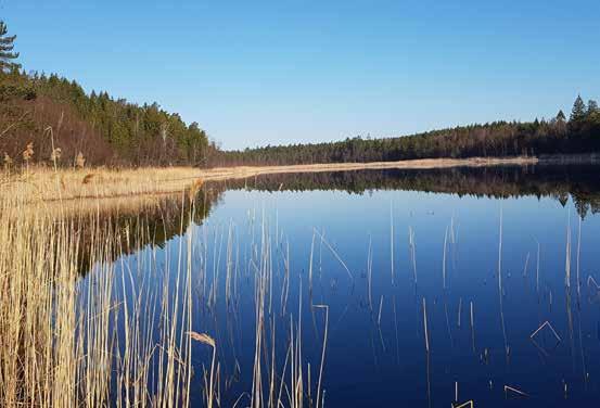 B. NULÄGESBESKRIVNING 10 Levande sjöar och vattendrag 10.4.3 FYSISK PÅVERKAN Foto: Länsstyrelsen I expanderande tätorter är anpråken på mark ofta större än tillgången.