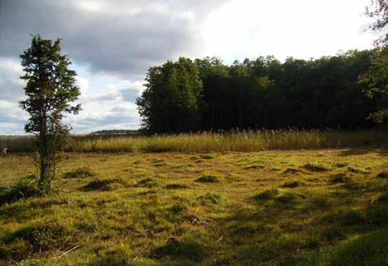 11 Myllrande våtmarker B. NULÄGESBESKRIVNING 11.5.3 VATTENREGLERING Foto: Länsstyrelsen I oreglerade vattensystem varierar vattenståndet naturligt under året, vanligen med högst läge under vårfloden.