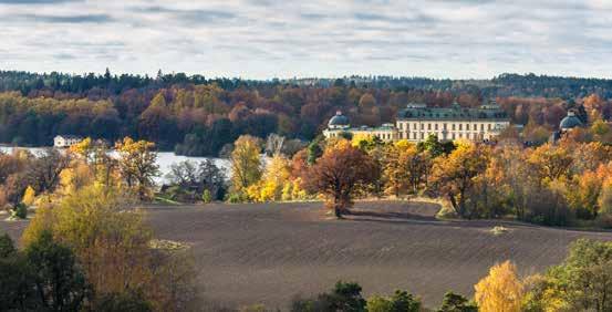 C. FÖRSLAG TILL INSATSOMRÅDEN OCH ÅTGÄRDER ENLIGT REGIONAL HANDLINGSPLAN 29 Samordning, samverkan, kunskapshöjning och vägledning 29 Foto: 29 Samordning, samverkan, kunskapshöjning och vägledning