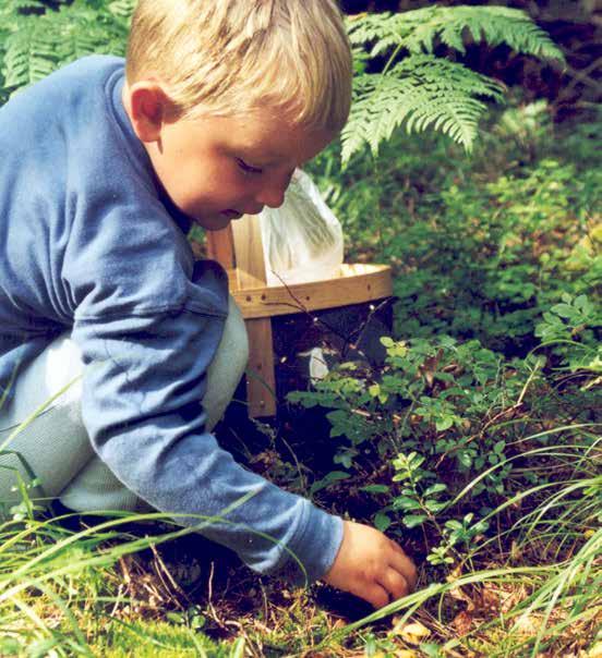 C. FÖRSLAG TILL INSATSOMRÅDEN OCH ÅTGÄRDER ENLIGT REGIONAL HANDLINGSPLAN 29 Samordning, samverkan, kunskapshöjning och vägledning Foto: Länsstyrelsen y Gemensam databas för lokala/kommunala