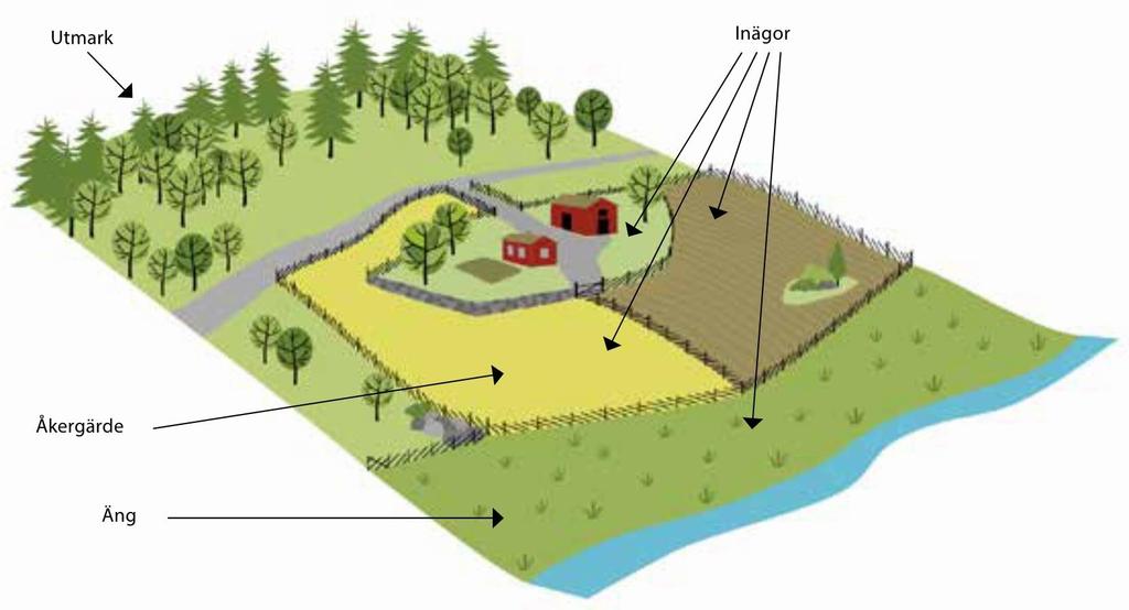 Utmark Inägor 6 Fysiska förutsättningar och markanvändning B. NULÄGESBESKRIVNING Åkergärde Äng Figur 17. Principskiss över ägoslagsindelning i by före det moderna jordbrukets genomslag.